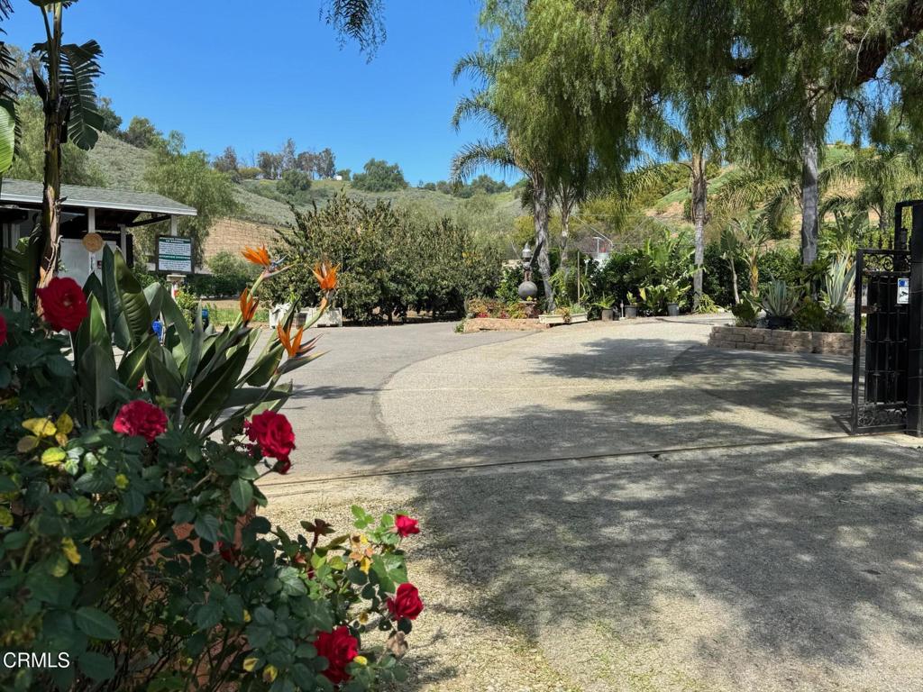 7907 Balcom Canyon Road Somis, CA 93066 - Photo 23 of 41 IMG_9603