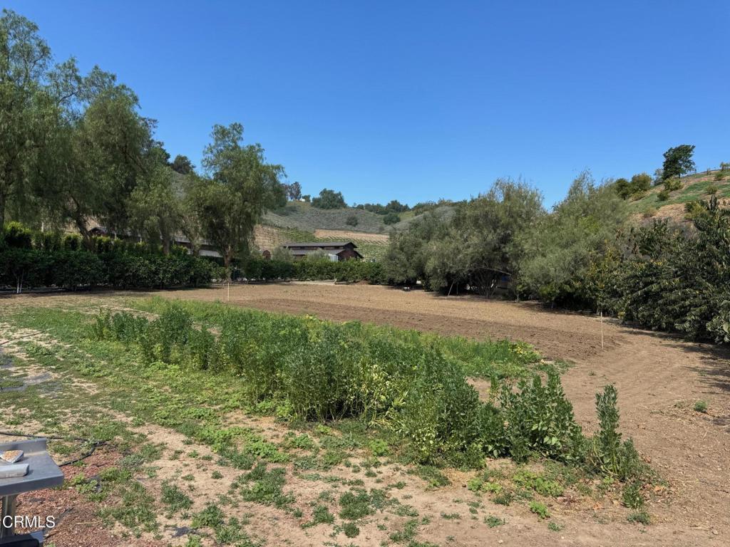 7907 Balcom Canyon Road Somis, CA 93066 - Photo 28 of 41 IMG_9610