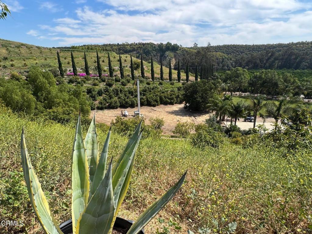 7907 Balcom Canyon Road Somis, CA 93066 - Photo 32 of 41 IMG_9615