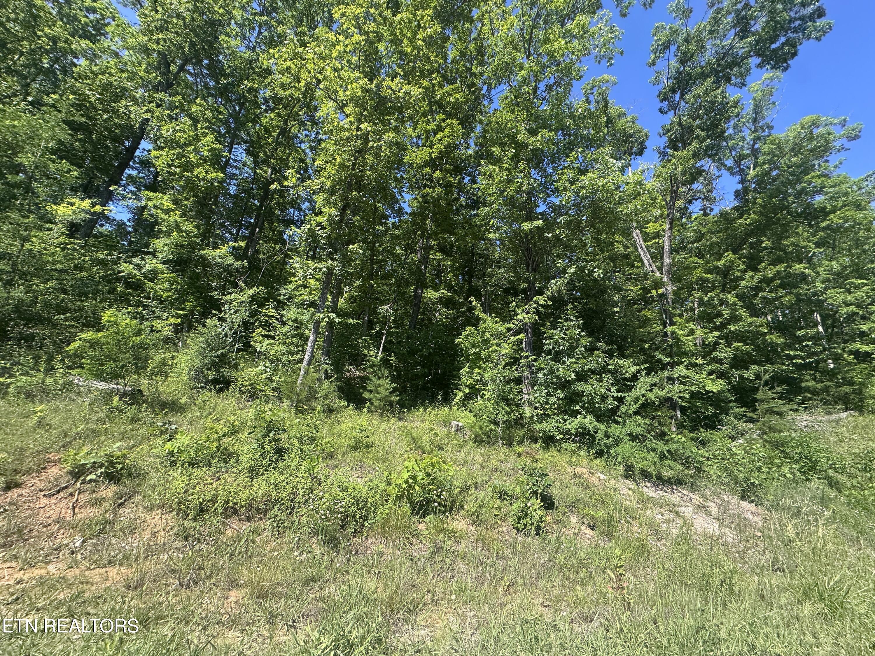 1020 Tomahawk Road Jamestown, TN 38556 - Photo 18 of 19 IMG_0028
