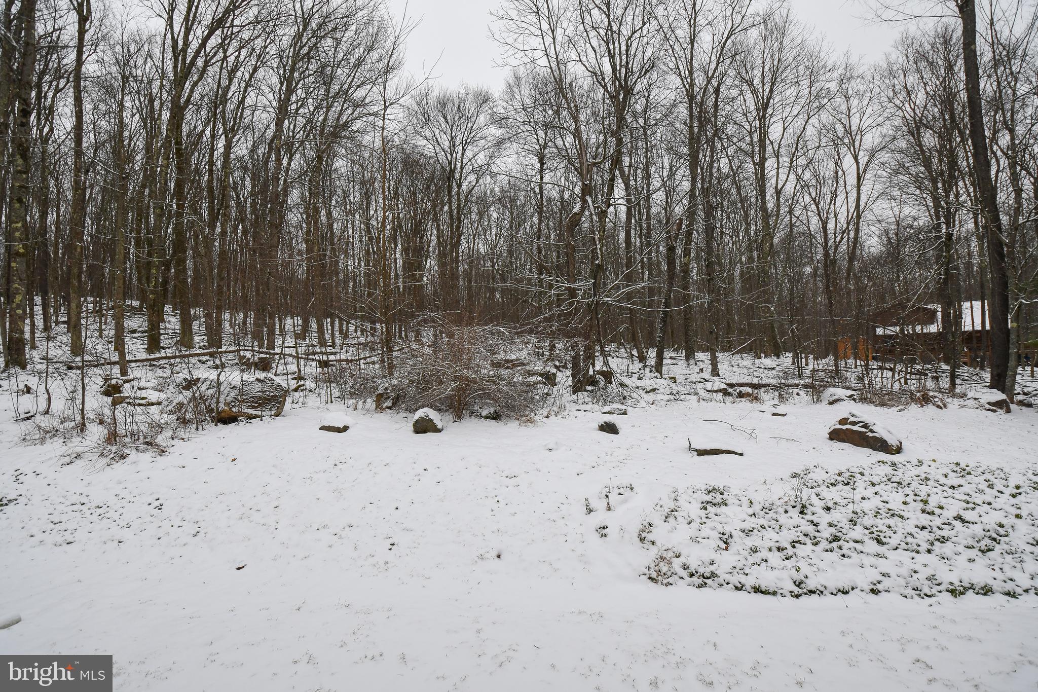 412 Tanglewood Road Oakland, MD 21550 - Photo 35 of 41 a view of snow on a road