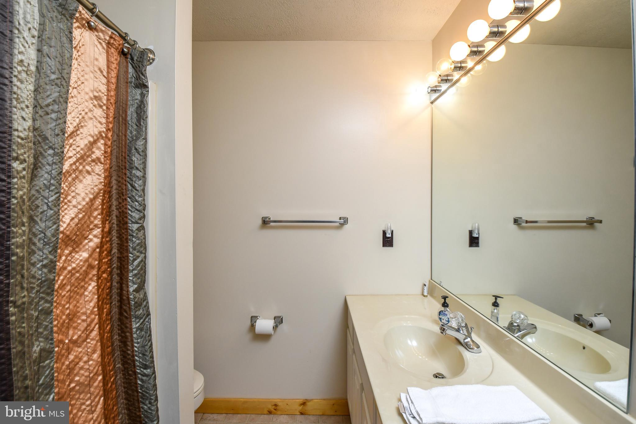 412 Tanglewood Road Oakland, MD 21550 - Photo 38 of 41 a bathroom with a sink and a mirror