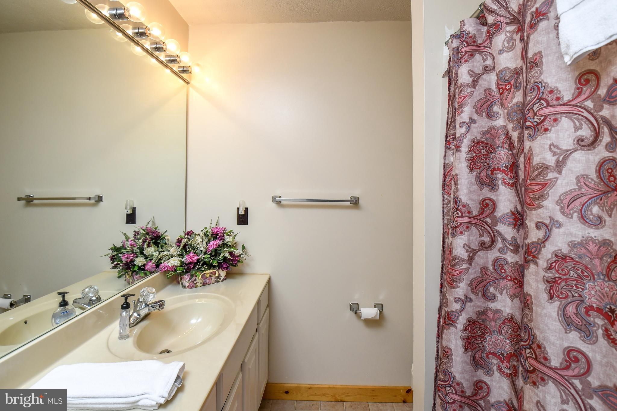 412 Tanglewood Road Oakland, MD 21550 - Photo 40 of 41 a bathroom with a sink and mirror with bathtub