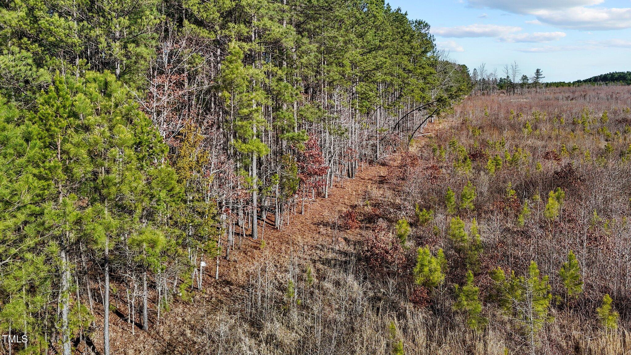1665 Satterwhite Road Oxford, NC 27565 - Photo 25 of 41 a view of a forest with a tree in the background