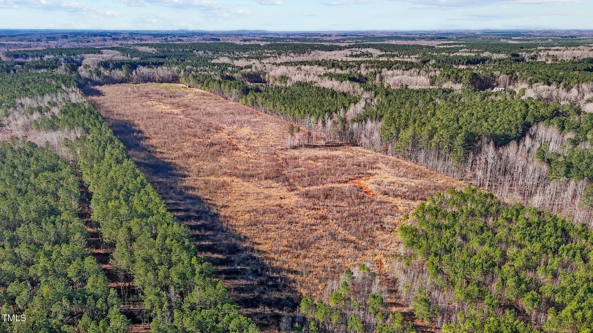 1665 Satterwhite Road Oxford, NC 27565 - Photo 26 of 41 a view of a pathway both side of yard