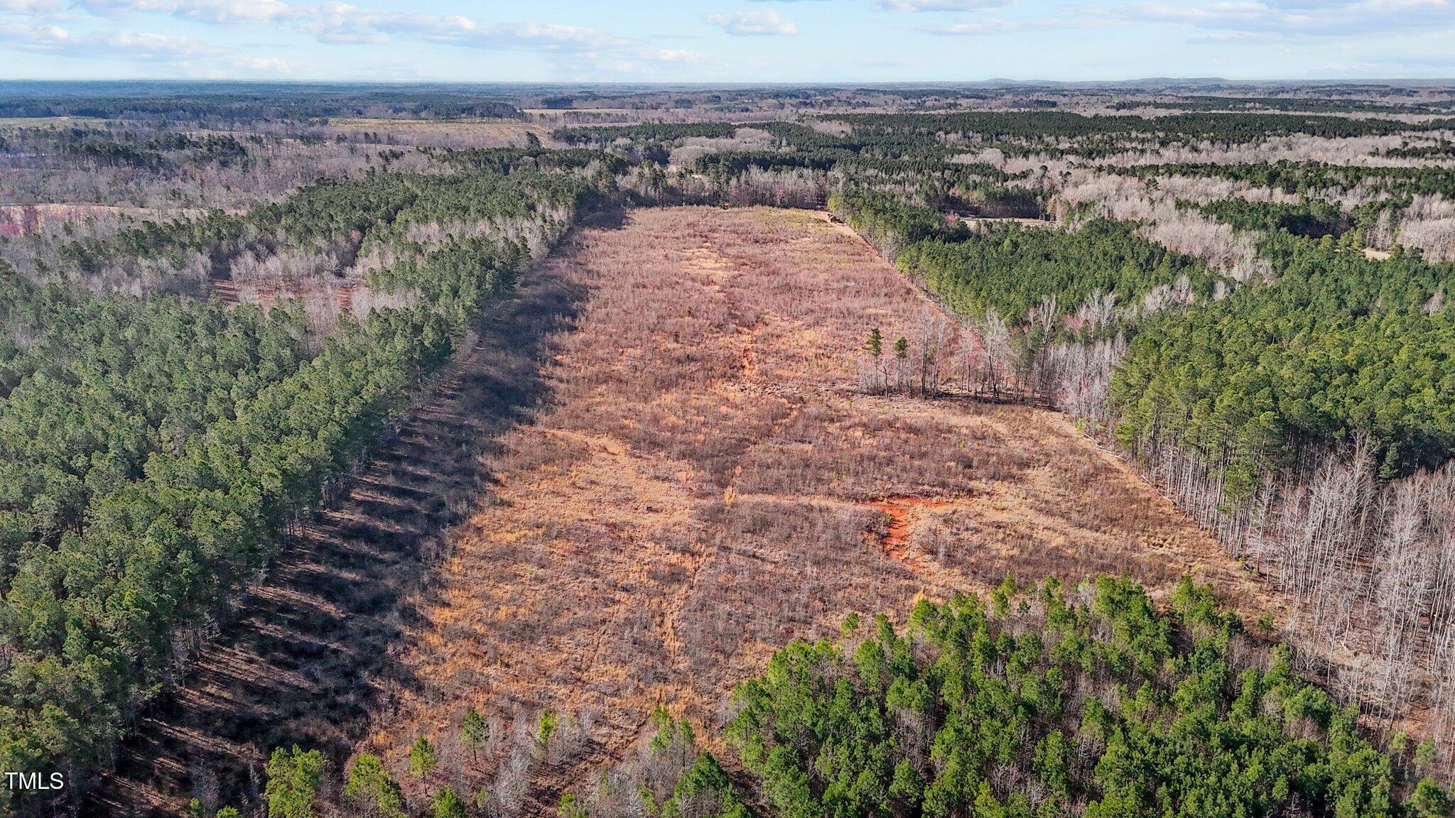 1665 Satterwhite Road Oxford, NC 27565 - Photo 27 of 41 a view of a pathway both side of yard
