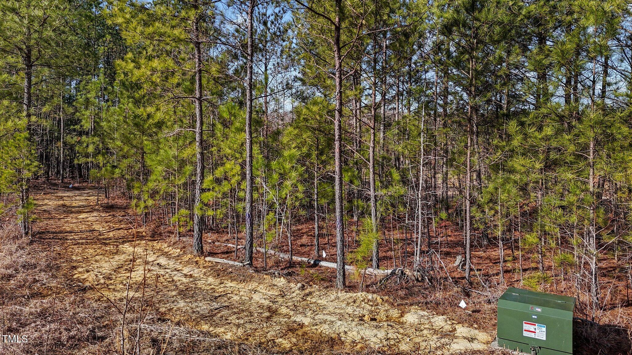 1665 Satterwhite Road Oxford, NC 27565 - Photo 6 of 41 a view of a forest filled with trees