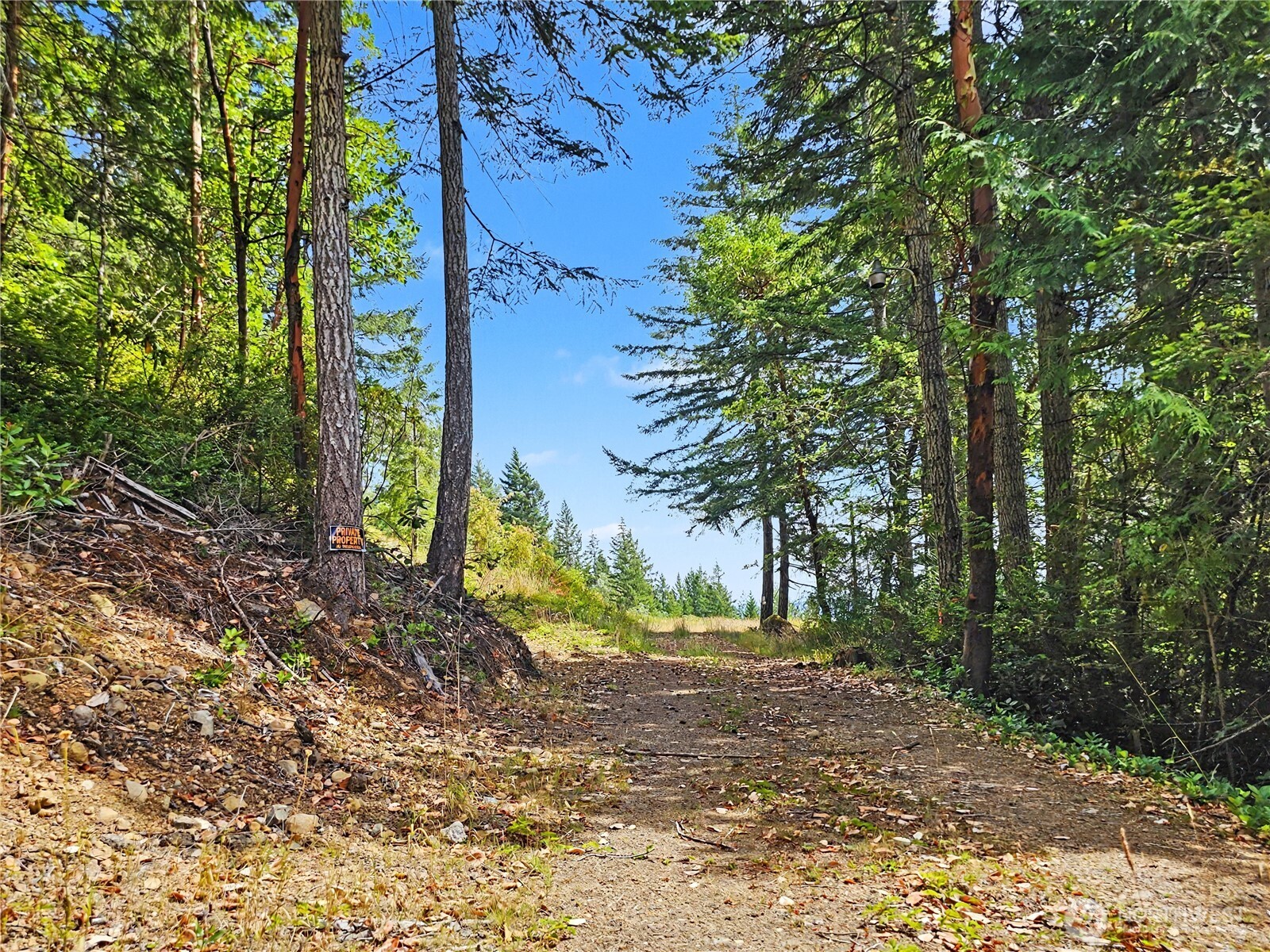 646 Madrona Ridge Drive Brinnon, WA 98320 - Photo 34 of 34 Gallery Image 34