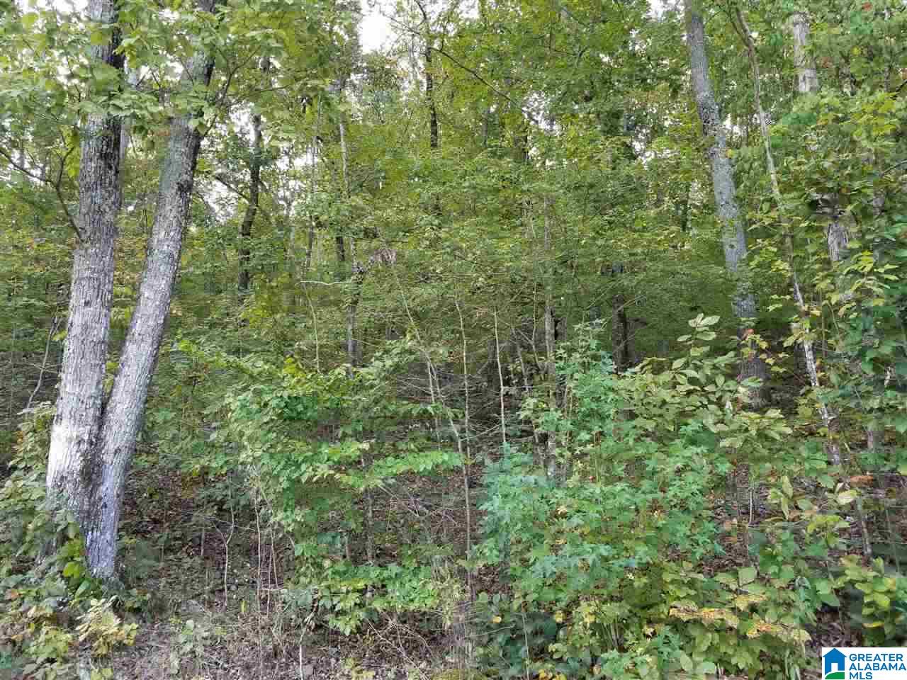 Waldrop Road, Unit 5 & 6 Ashville, AL 35953 - Photo 1 of 2