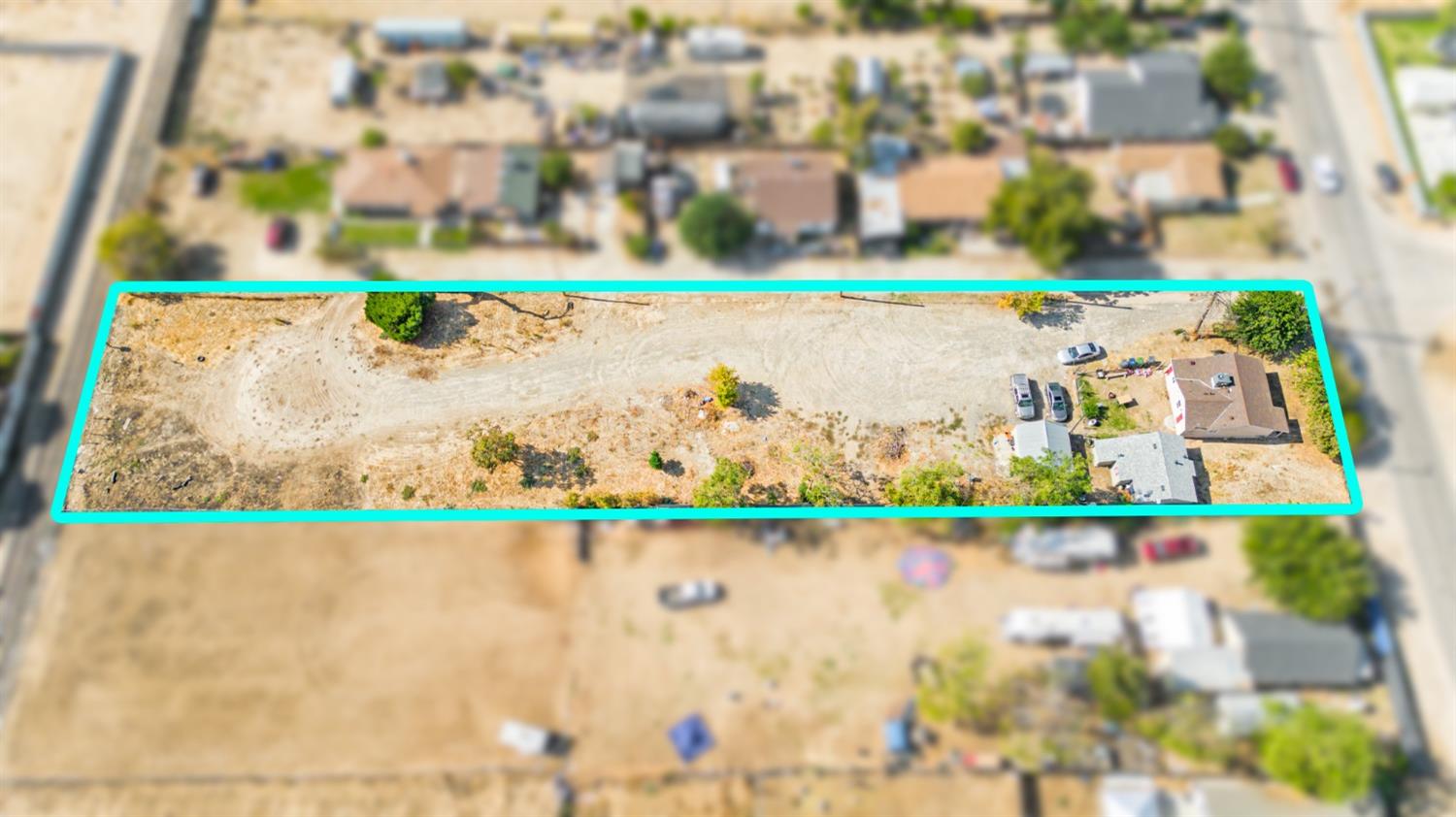 a small white and black white and green