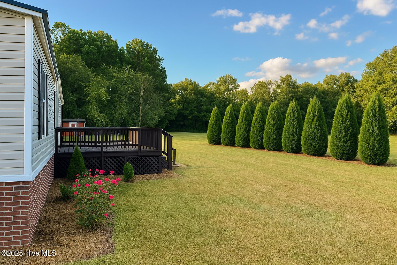 994 Test Farm Road Wallace, NC 28466 - Photo 18 of 21 Ai generated landscape - seller adding Leland Cypress in front yard in similar layout for privacy