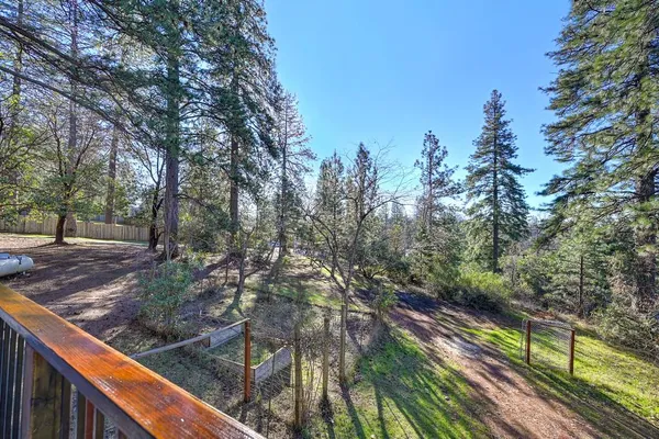 a view of a yard with large trees