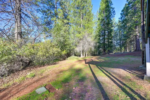 a view of backyard with green space