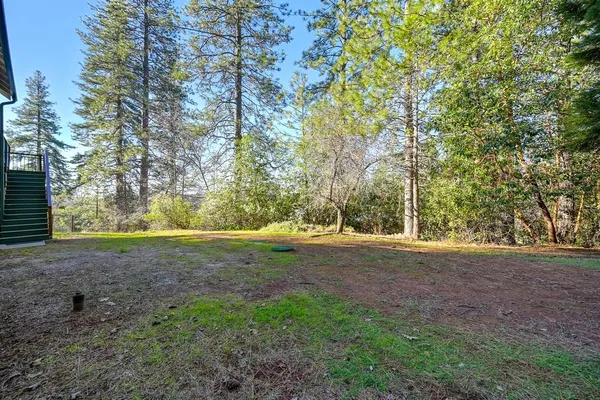 a view of a yard with a tree