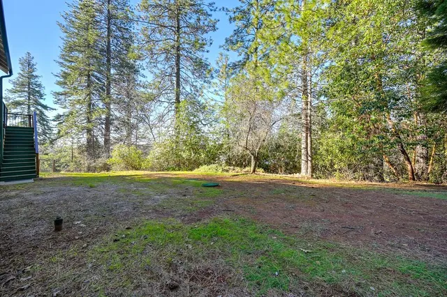 a view of a yard with a tree