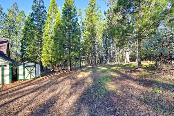 a view of outdoor space with trees