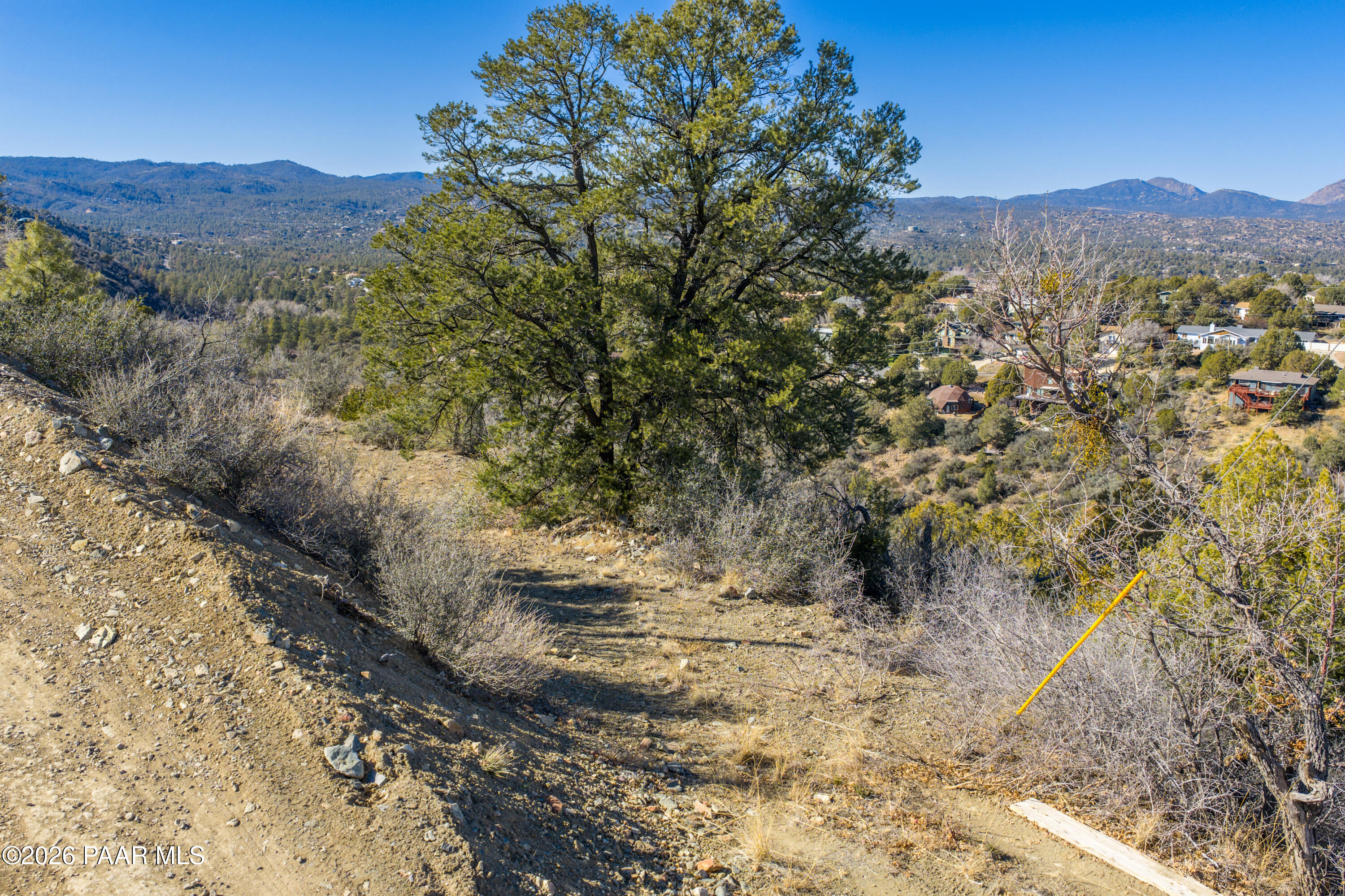 1490 South Rattlesnake Way Prescott, AZ 86303 - Photo 16 of 24 a view of a forest with mountains in the background
