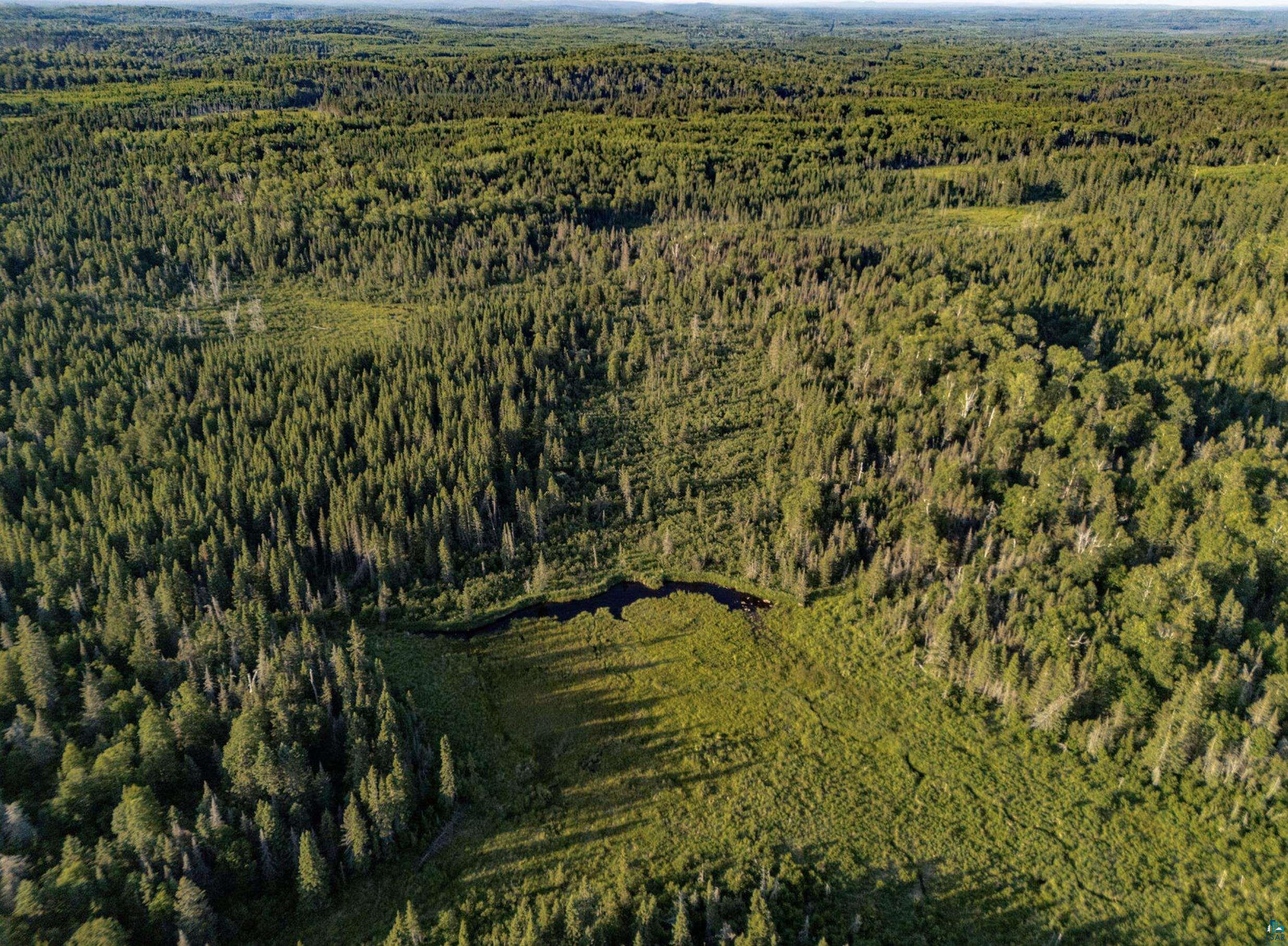 Tbd Hoist Lake Road Finland, MN 55603 - Photo 8 of 22