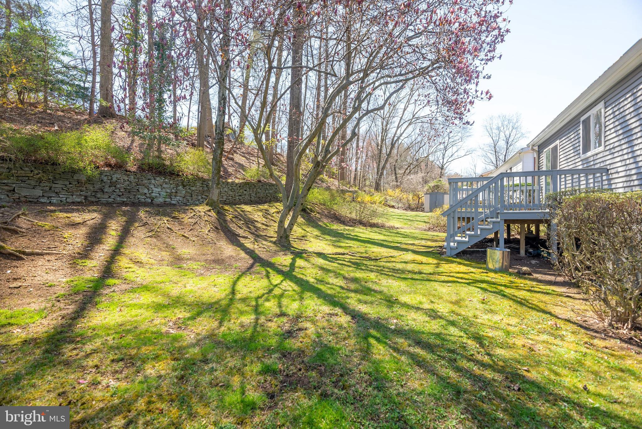 616 Kenbrook Drive Silver Spring, MD 20902 - Photo 35 of 35 Back property