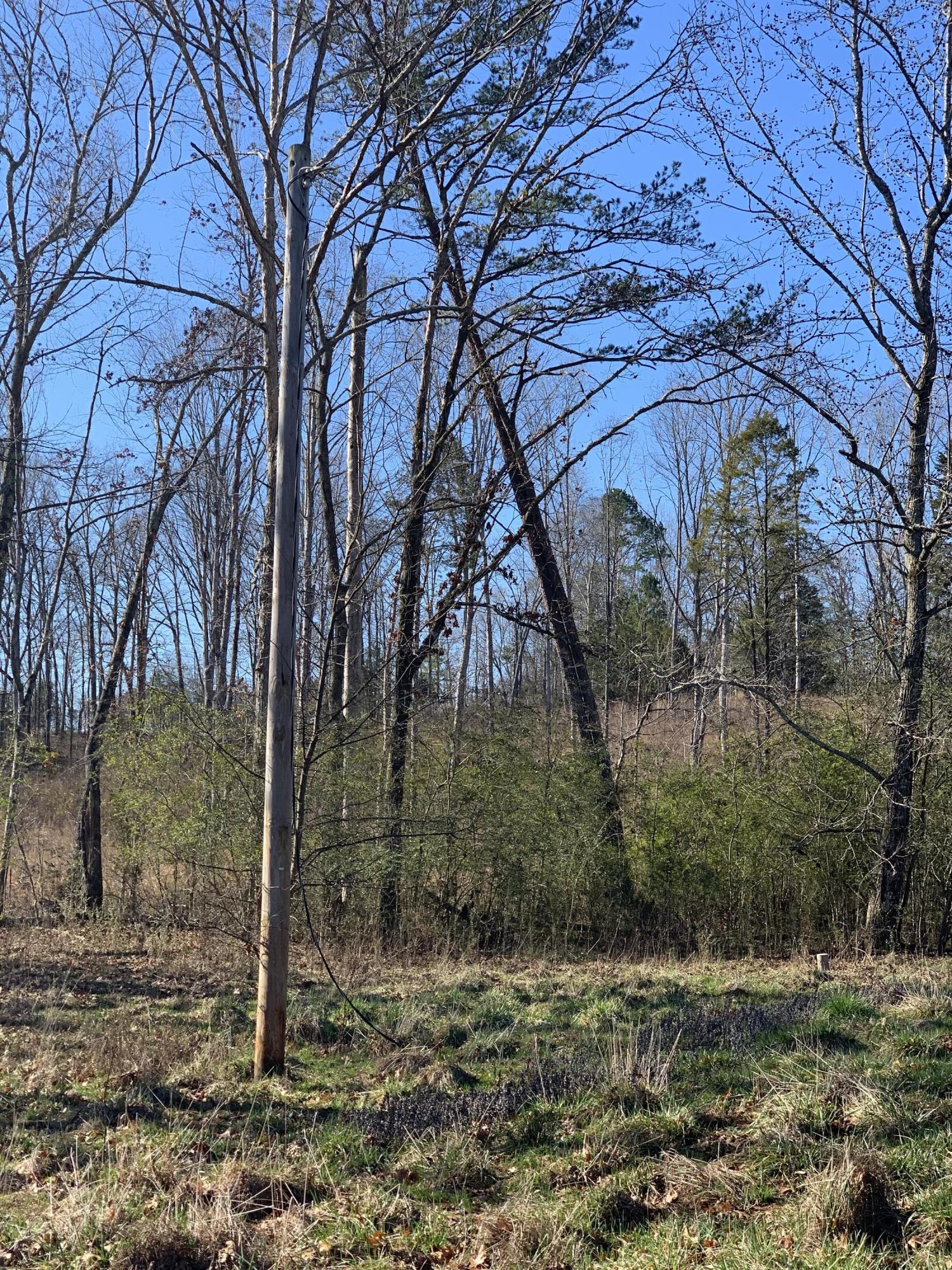 659 Sneed Road Decatur, TN 37322 - Photo 2 of 13 IMG_8802