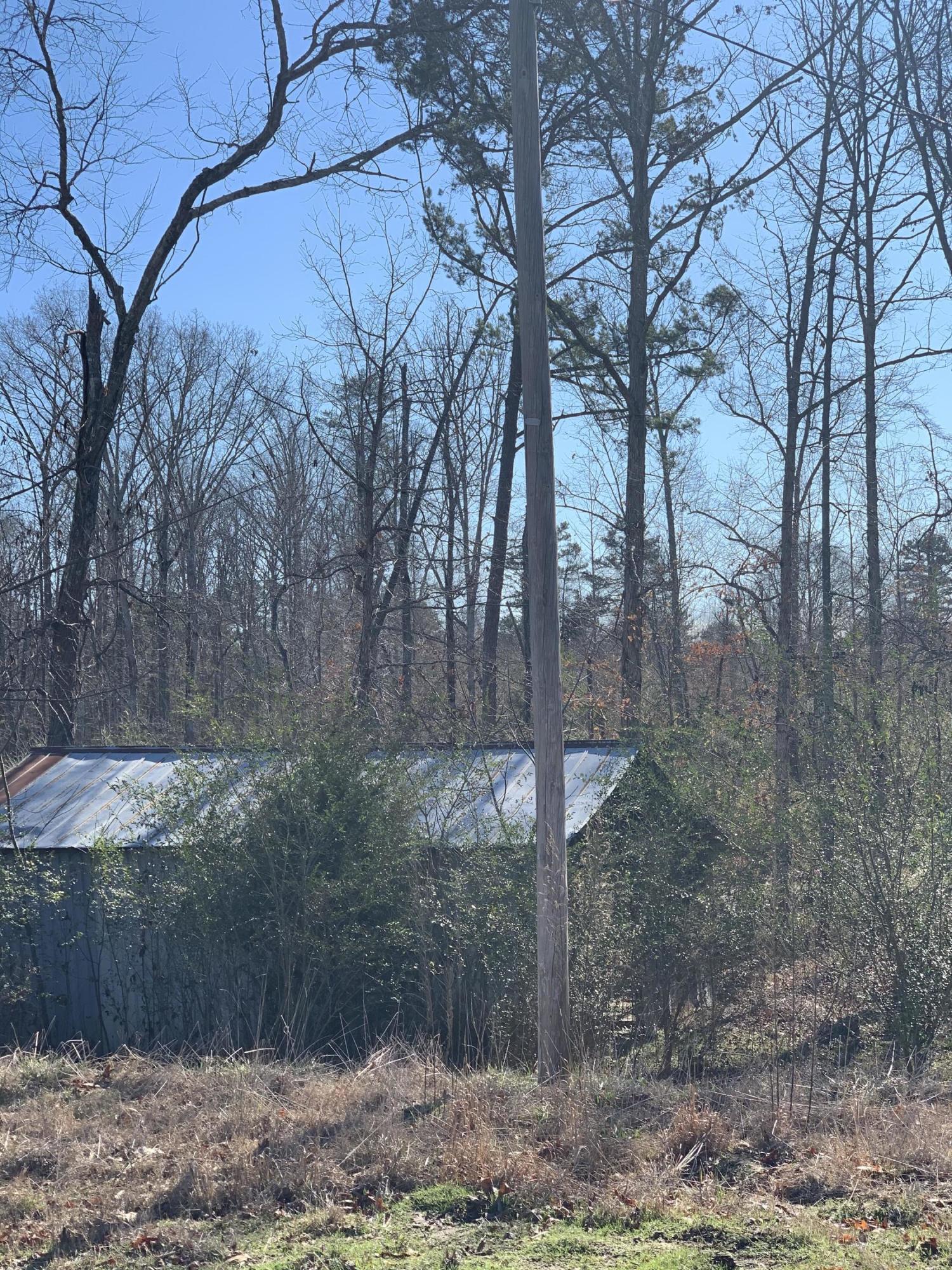 659 Sneed Road Decatur, TN 37322 - Photo 11 of 13 IMG_8811