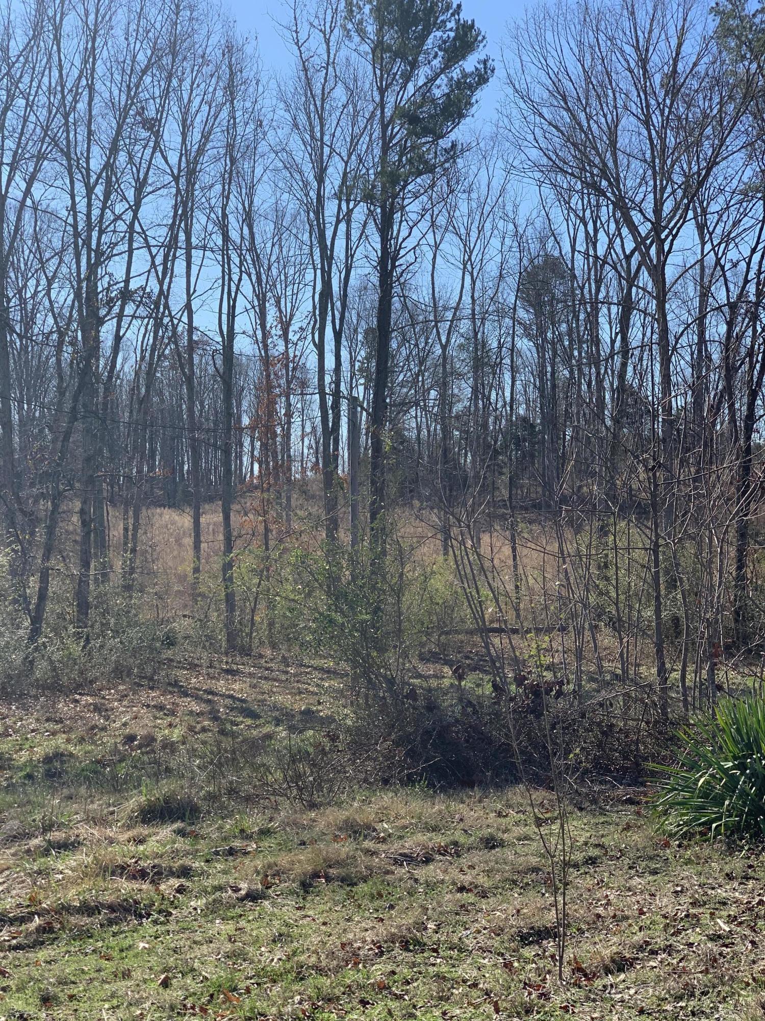 659 Sneed Road Decatur, TN 37322 - Photo 13 of 13 IMG_8813