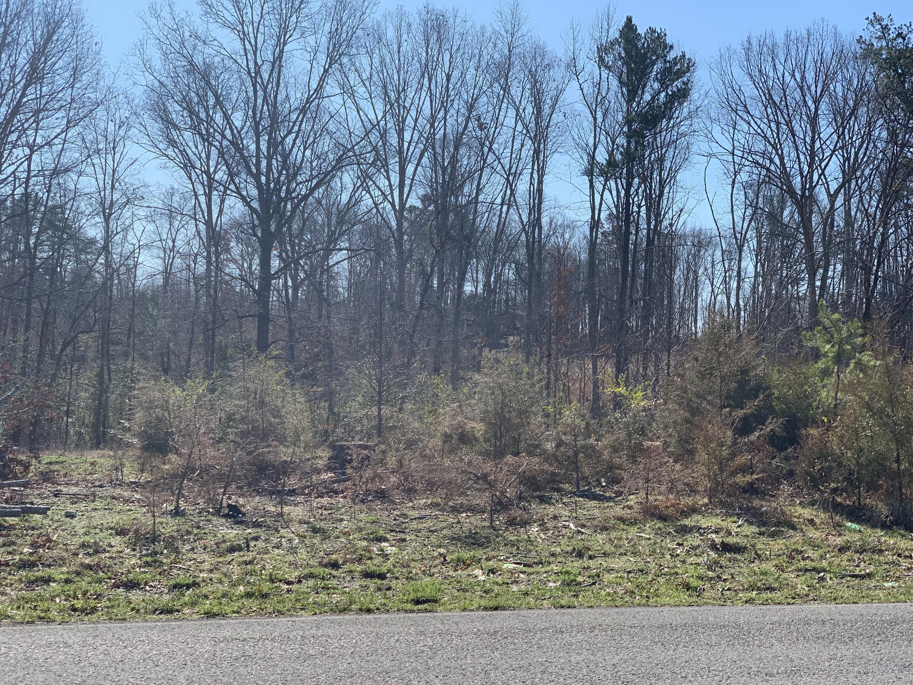 659 Sneed Road Decatur, TN 37322 - Photo 3 of 13 IMG_8803