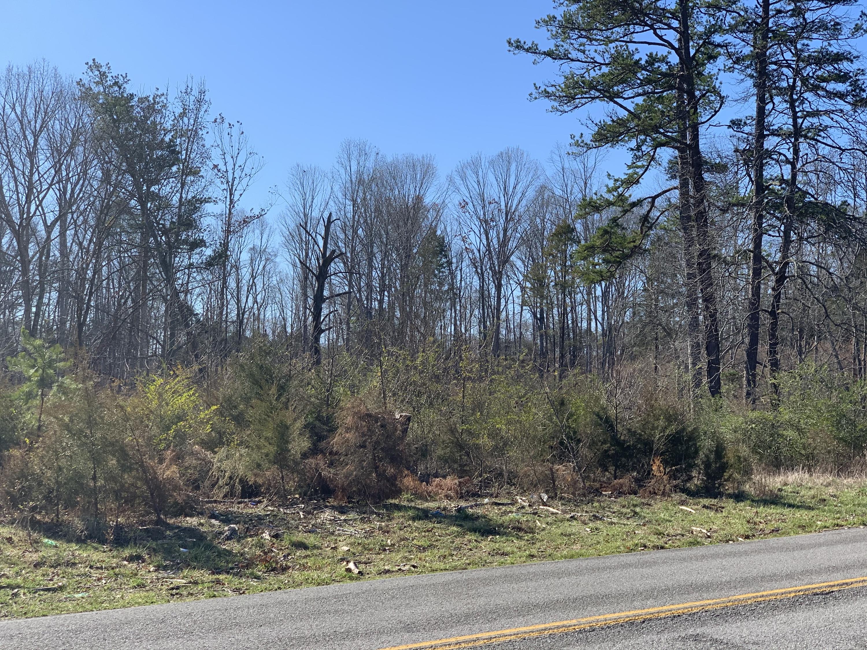 659 Sneed Road Decatur, TN 37322 - Photo 4 of 13 IMG_8804