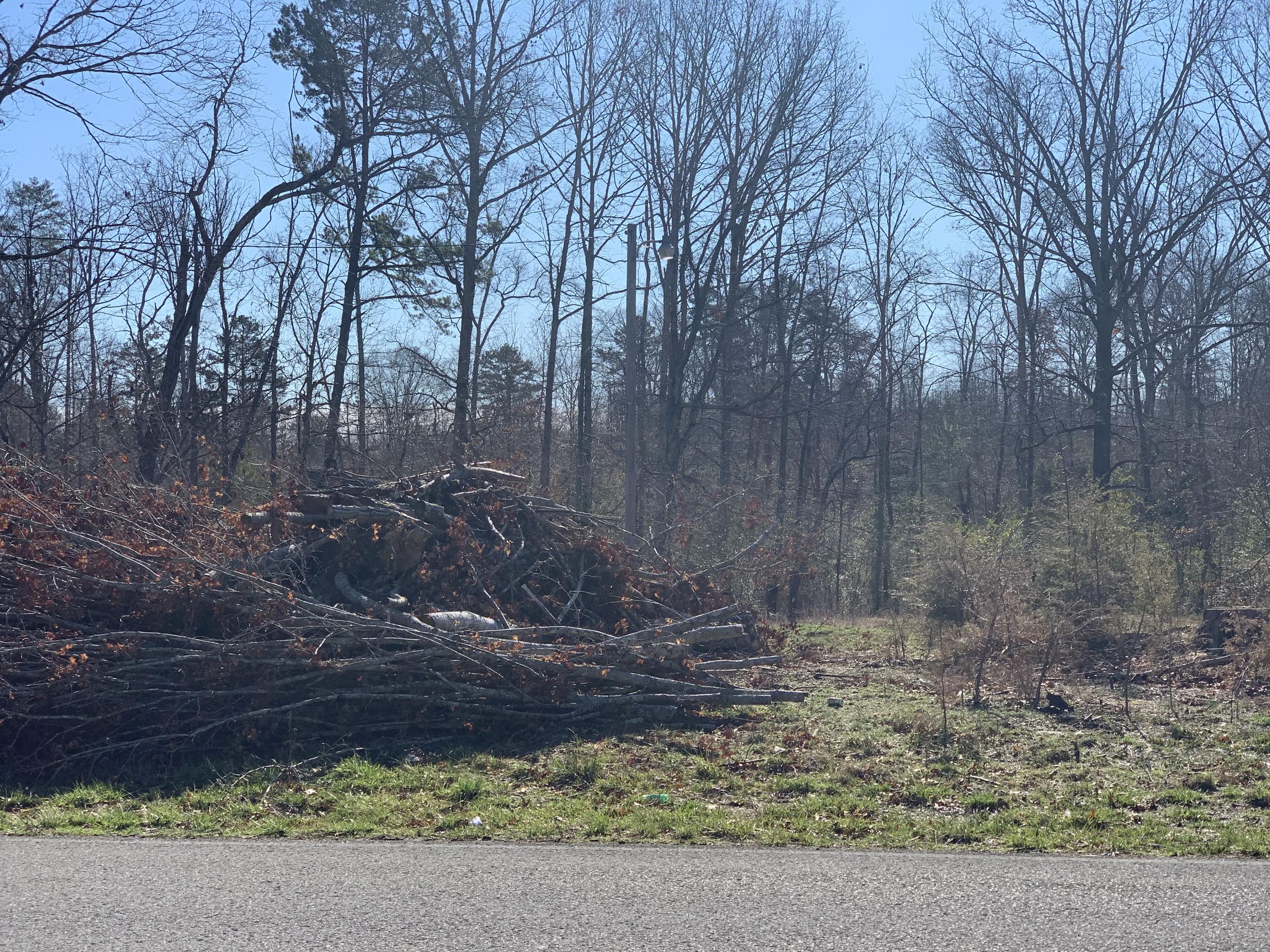 659 Sneed Road Decatur, TN 37322 - Photo 6 of 13 IMG_8806