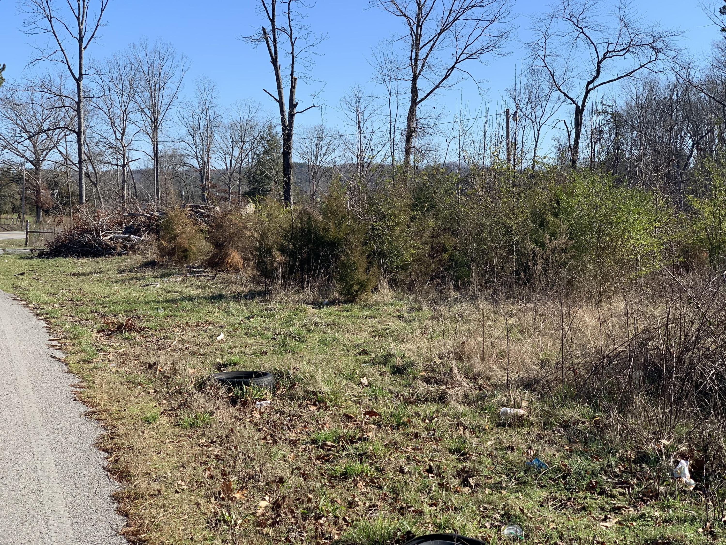 659 Sneed Road Decatur, TN 37322 - Photo 7 of 13 IMG_8807