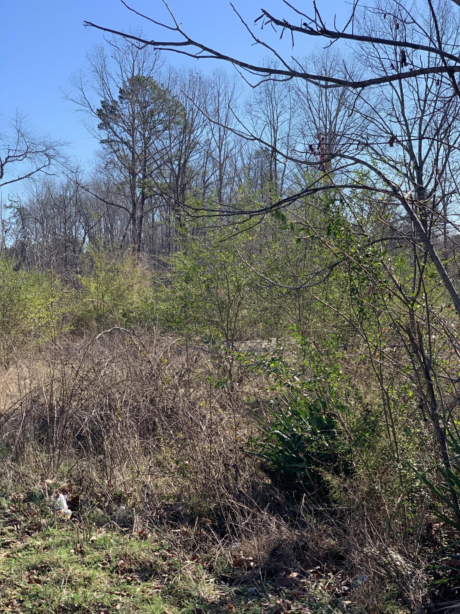 659 Sneed Road Decatur, TN 37322 - Photo 8 of 13 IMG_8808