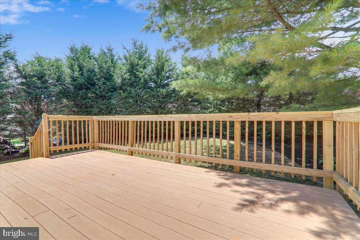 12608 Bluhill Road Silver Spring, MD 20906 - Photo 12 of 48