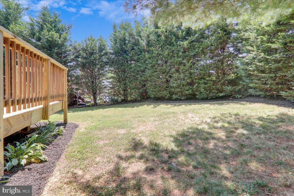 12608 Bluhill Road Silver Spring, MD 20906 - Photo 42 of 48