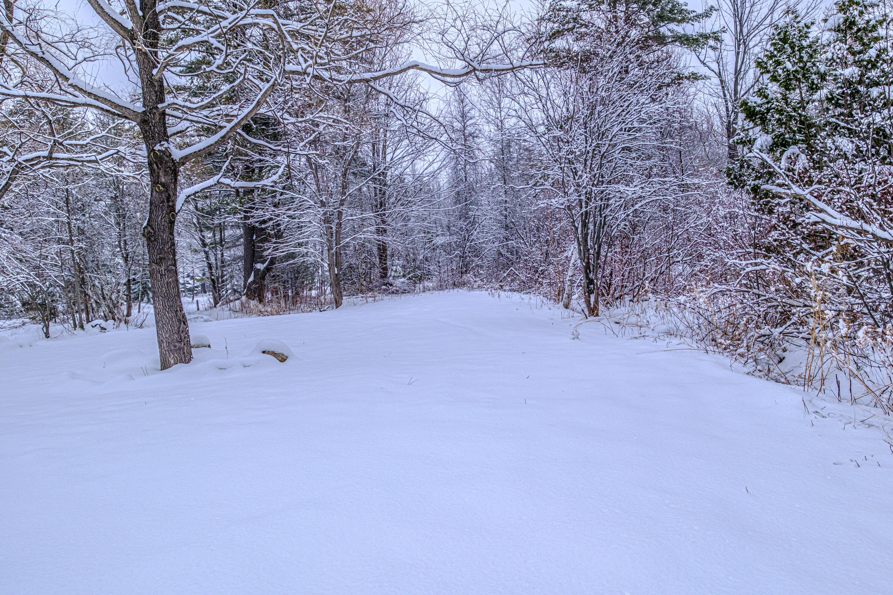 12 Paradise Hill Road Bethel, ME 04217 - Photo 52 of 64