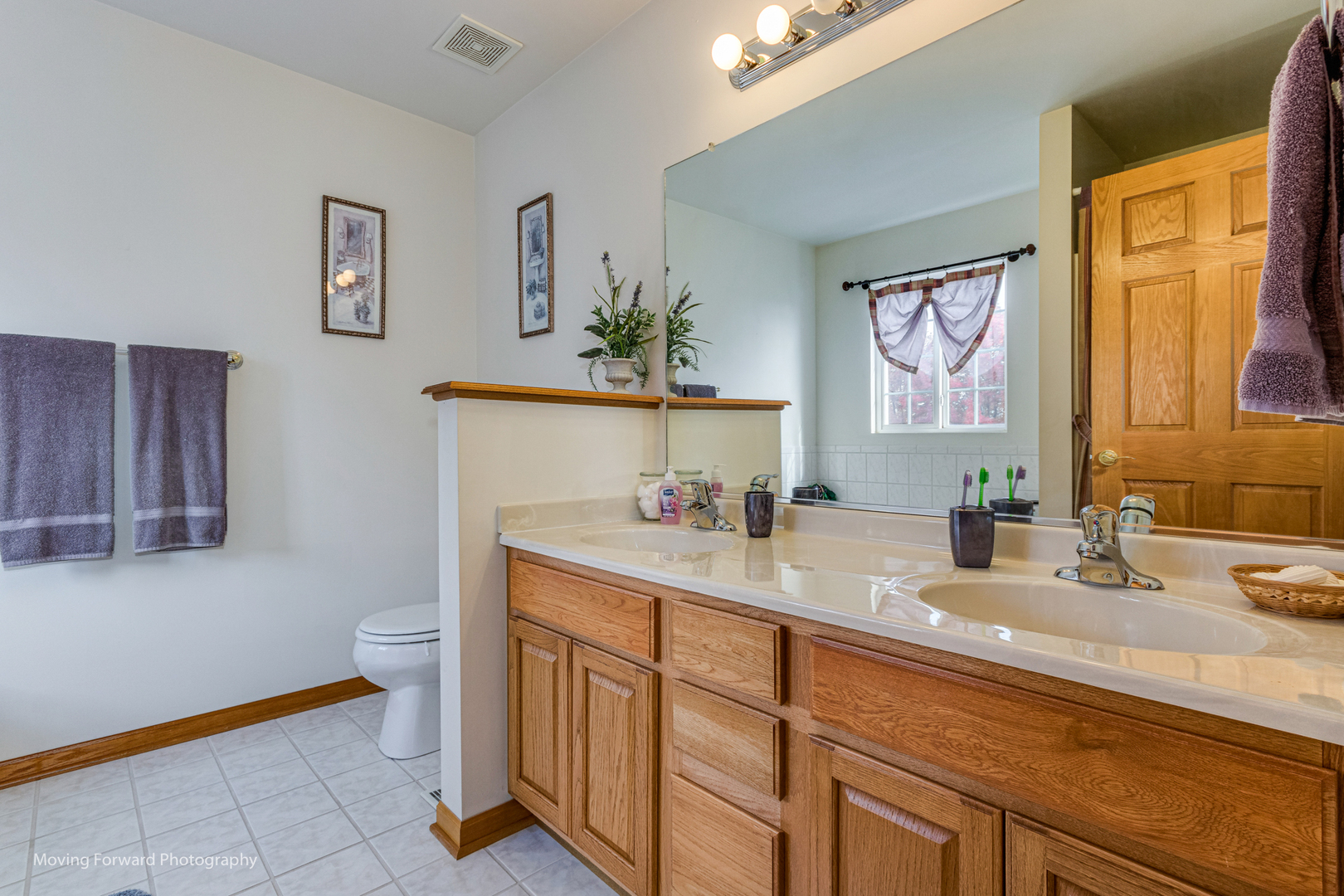 1909 Eagle Drive Morris, IL 60450 - Photo 15 of 24 a bathroom with a sink a toilet and mirror
