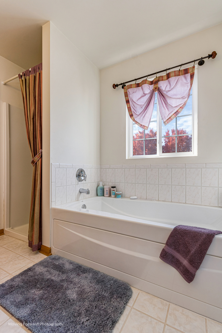 1909 Eagle Drive Morris, IL 60450 - Photo 16 of 24 a bathroom with a bathtub and a shower