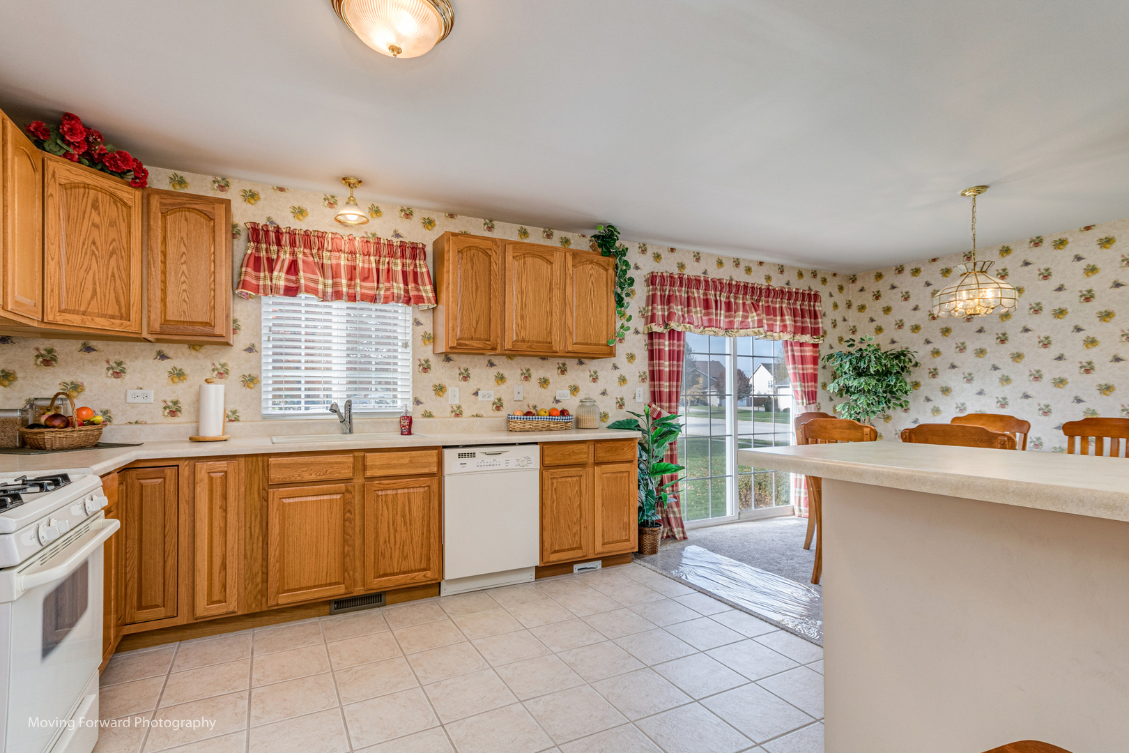 1909 Eagle Drive Morris, IL 60450 - Photo 9 of 24 a kitchen with a sink and cabinets