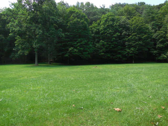 0 Bennett Run Road Bergton, VA 22811 - Photo 1 of 2 a view of a green yard with a house