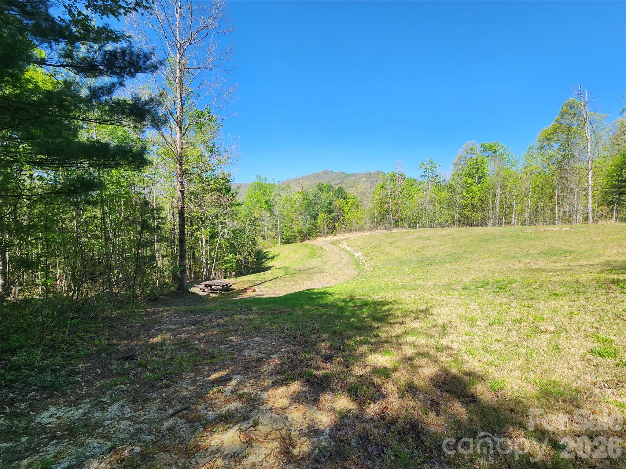 889 Firefly Trail Marshall, NC 28753 - Photo 1 of 35 a view of beach and trees