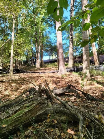 a view of a yard with plants