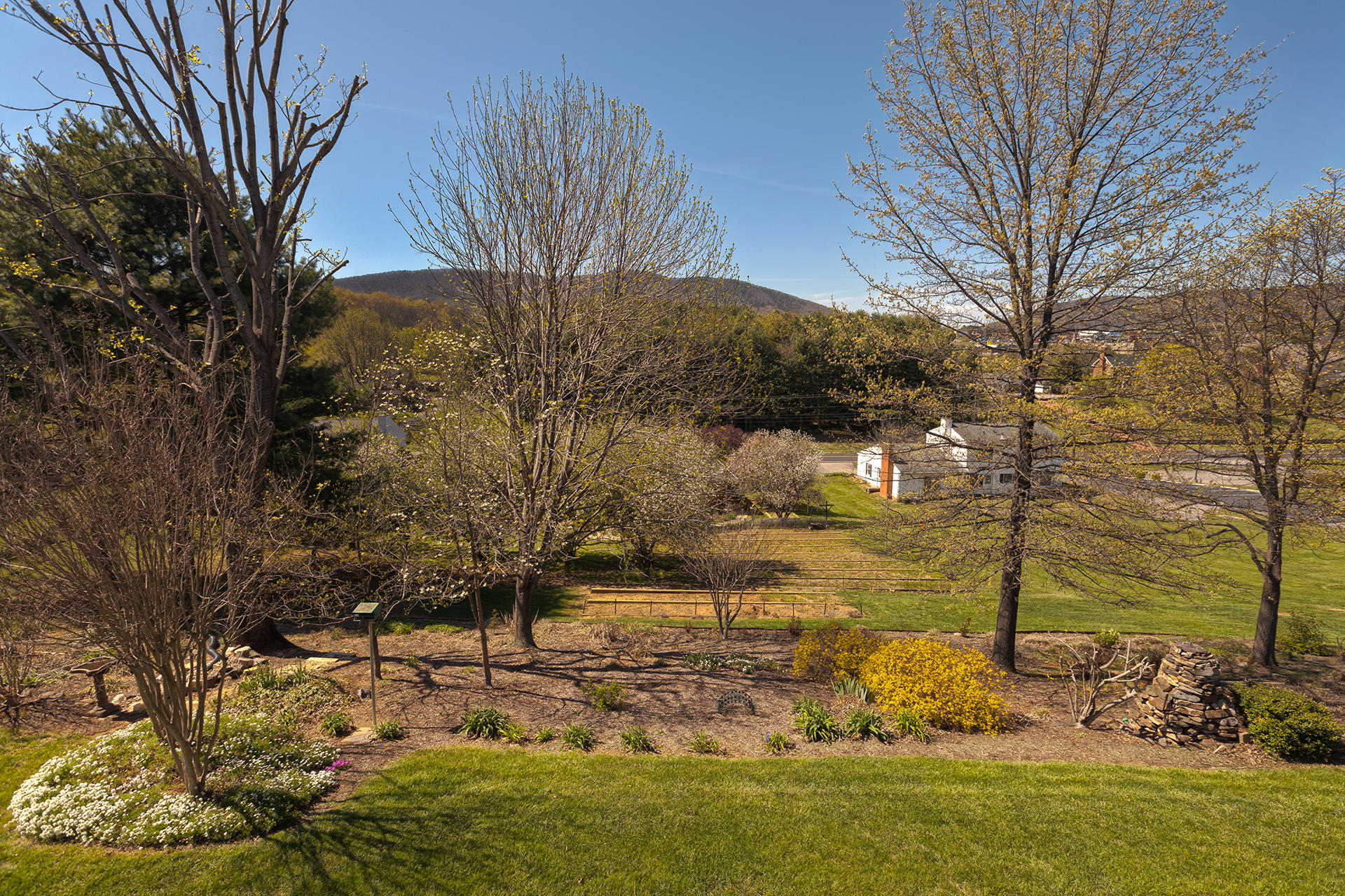 4666 Rte 1094 Roanoke, VA 24012 - Photo 11 of 51 Yard