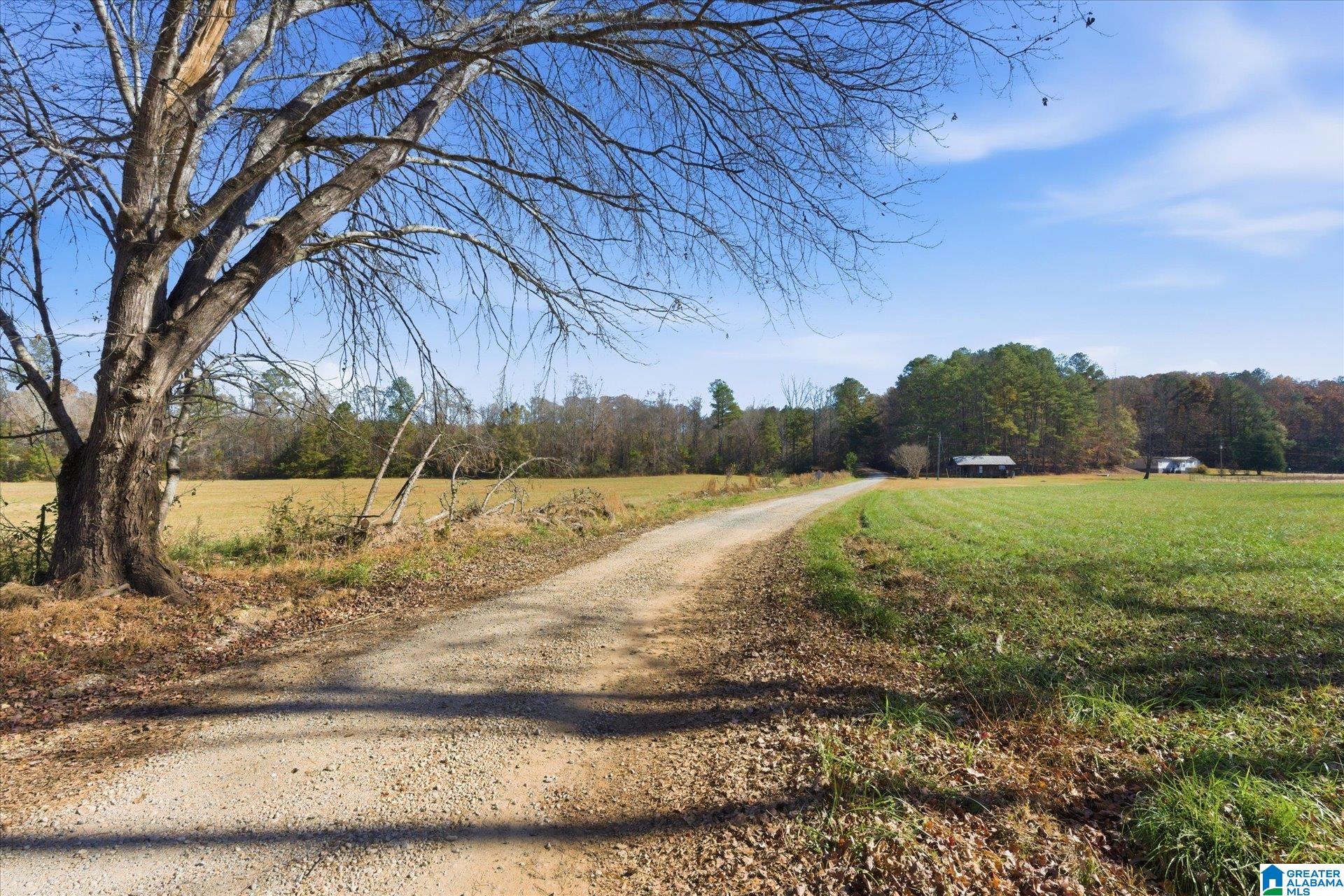 0 County Road 84 Heflin, AL 36264 - Photo 8 of 20