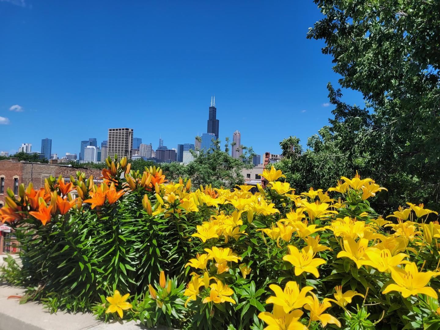 1016 South Racine Avenue, Unit 302 Chicago, IL 60607 - Photo 26 of 28