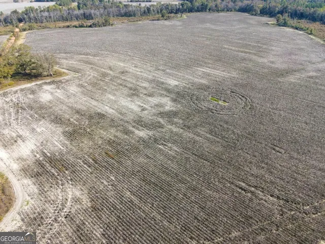 a view of a field with an ocean