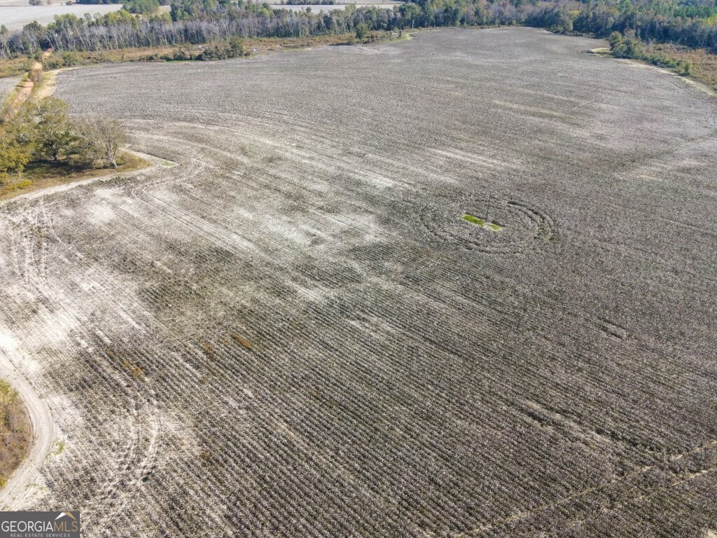 a view of a field with an ocean