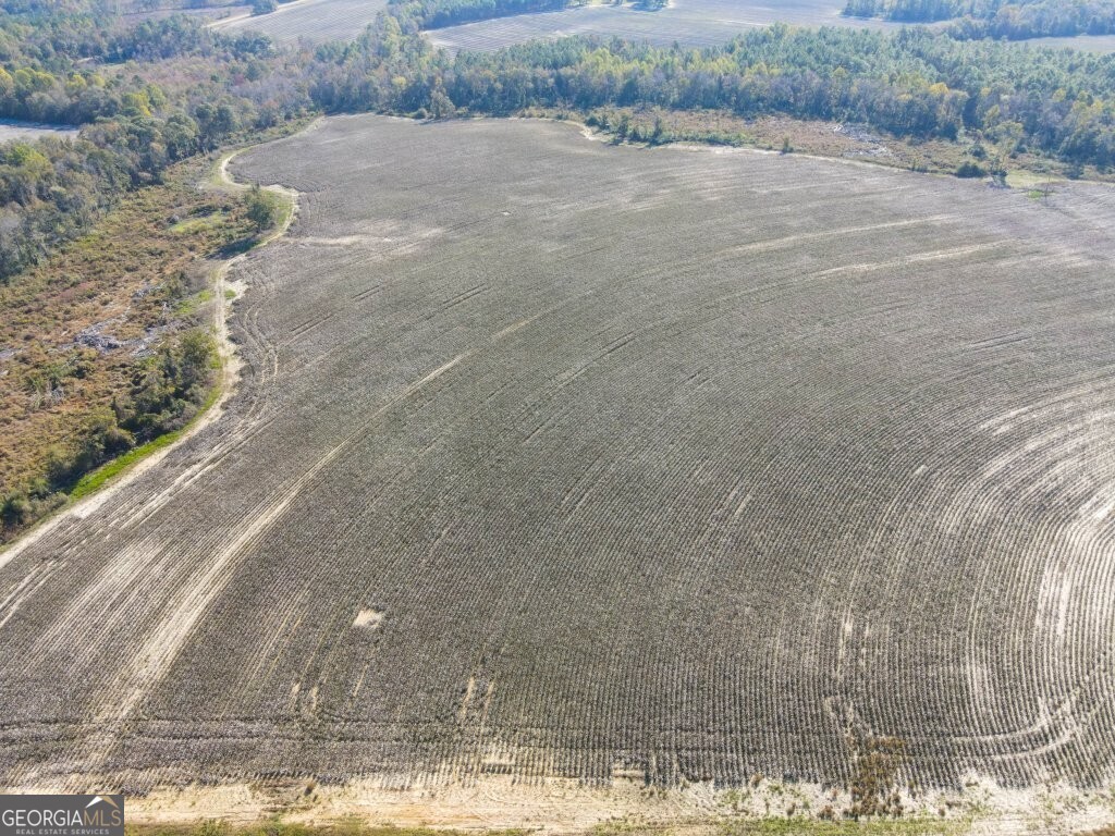 0 Bowen Hill Road Portal, GA 30450 - Photo 13 of 27 a view of a yard