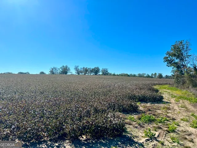 a view of lake and mountain