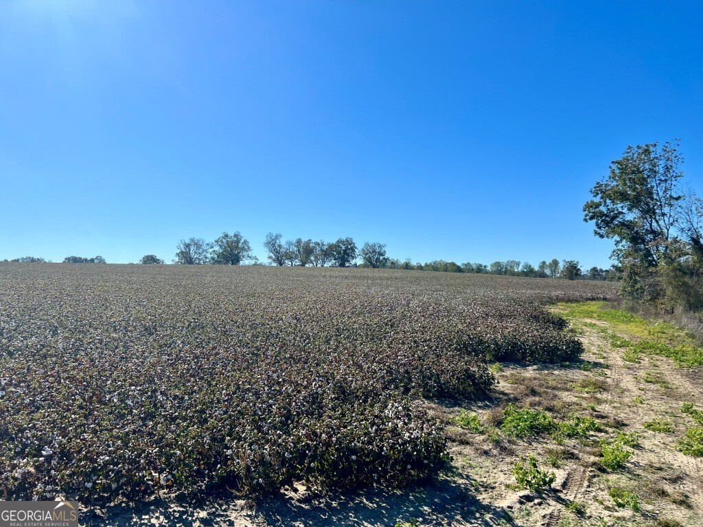 0 Bowen Hill Road Portal, GA 30450 - Photo 14 of 27 a view of lake and mountain