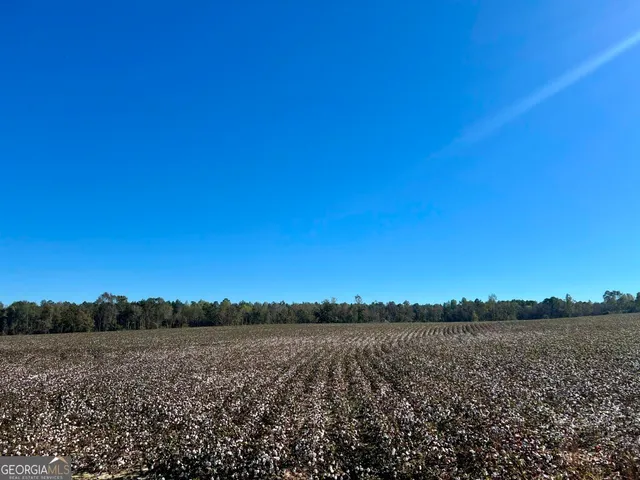 a view of a dry yard with trees in the background