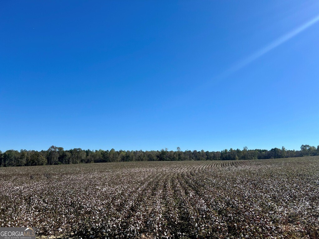 0 Bowen Hill Road Portal, GA 30450 - Photo 15 of 27 a view of lake and mountain